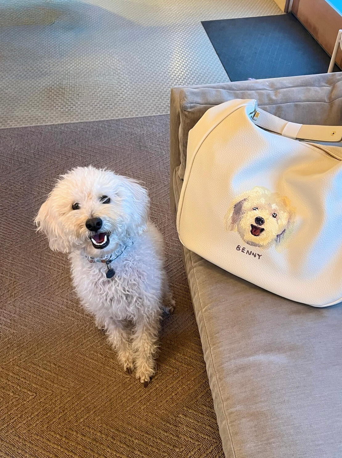 Pet Portrait Painting Pet Portrait Painting