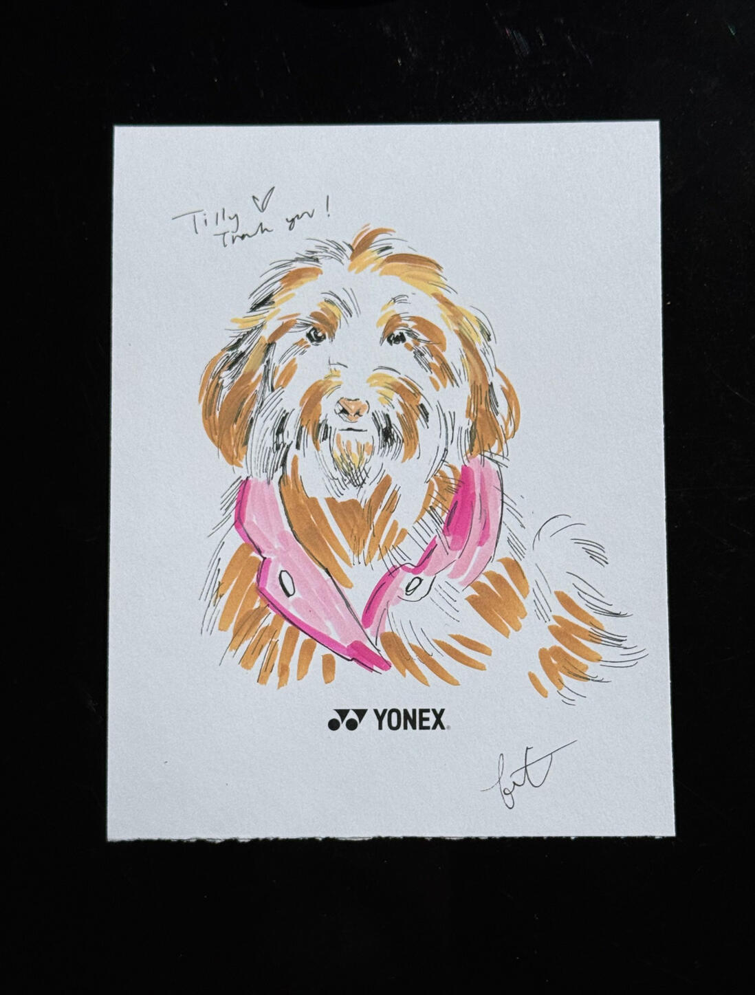 Pet Portrait Pet Portrait