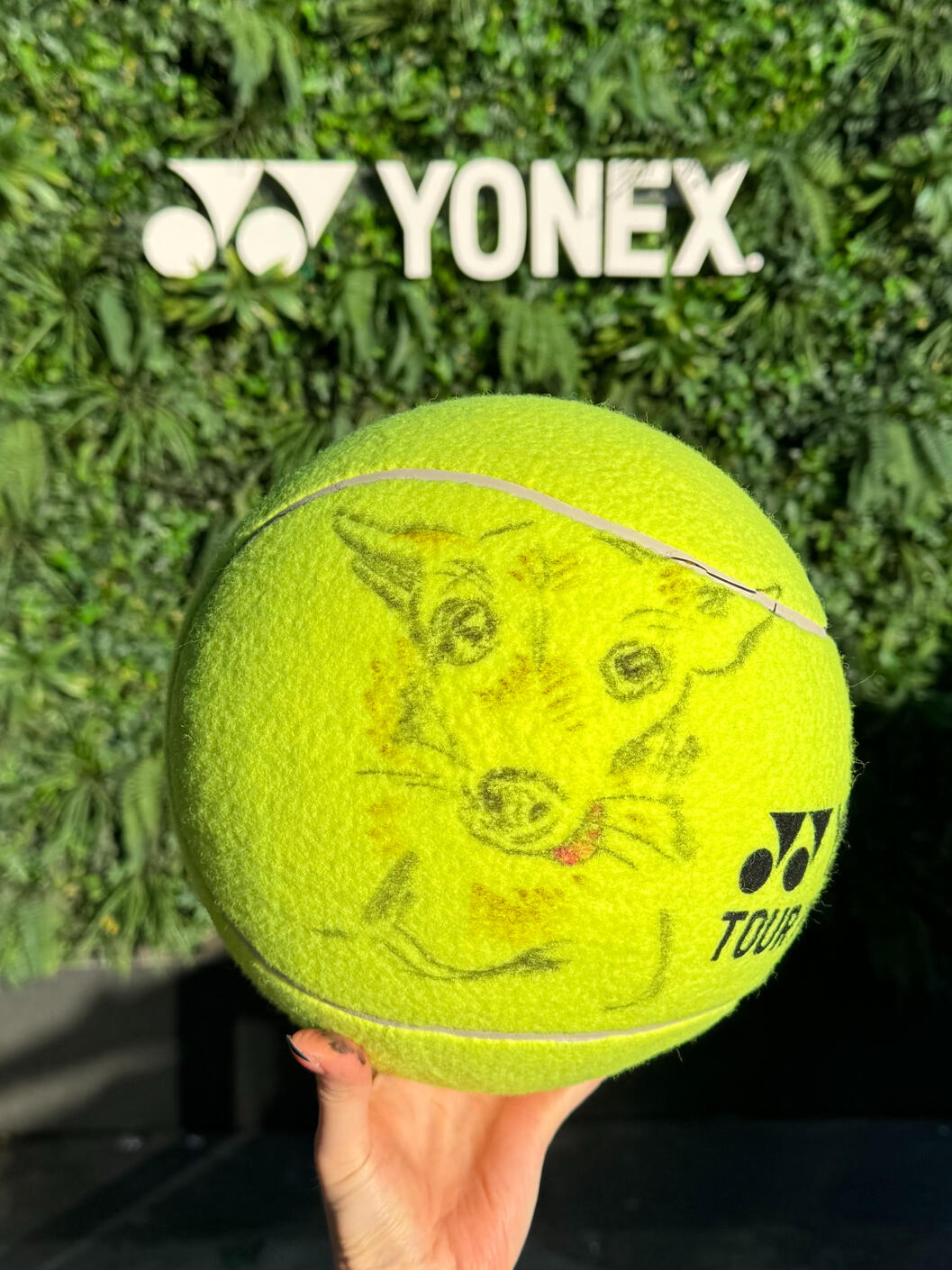 Pet Portrait Pet Portrait