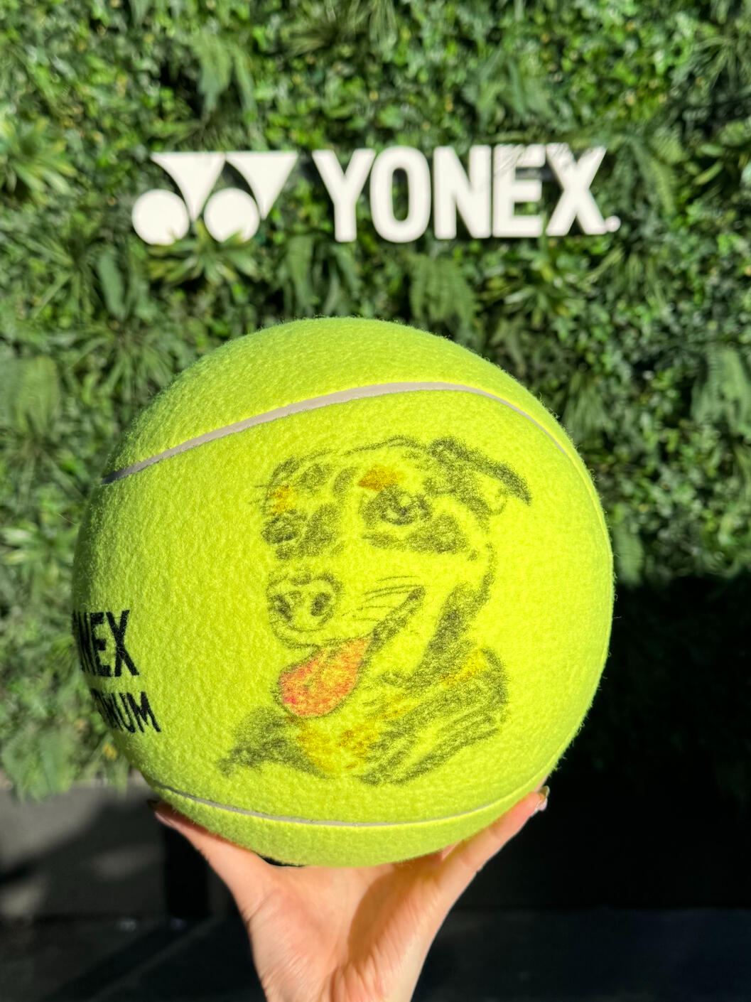 Pet Portrait Pet Portrait