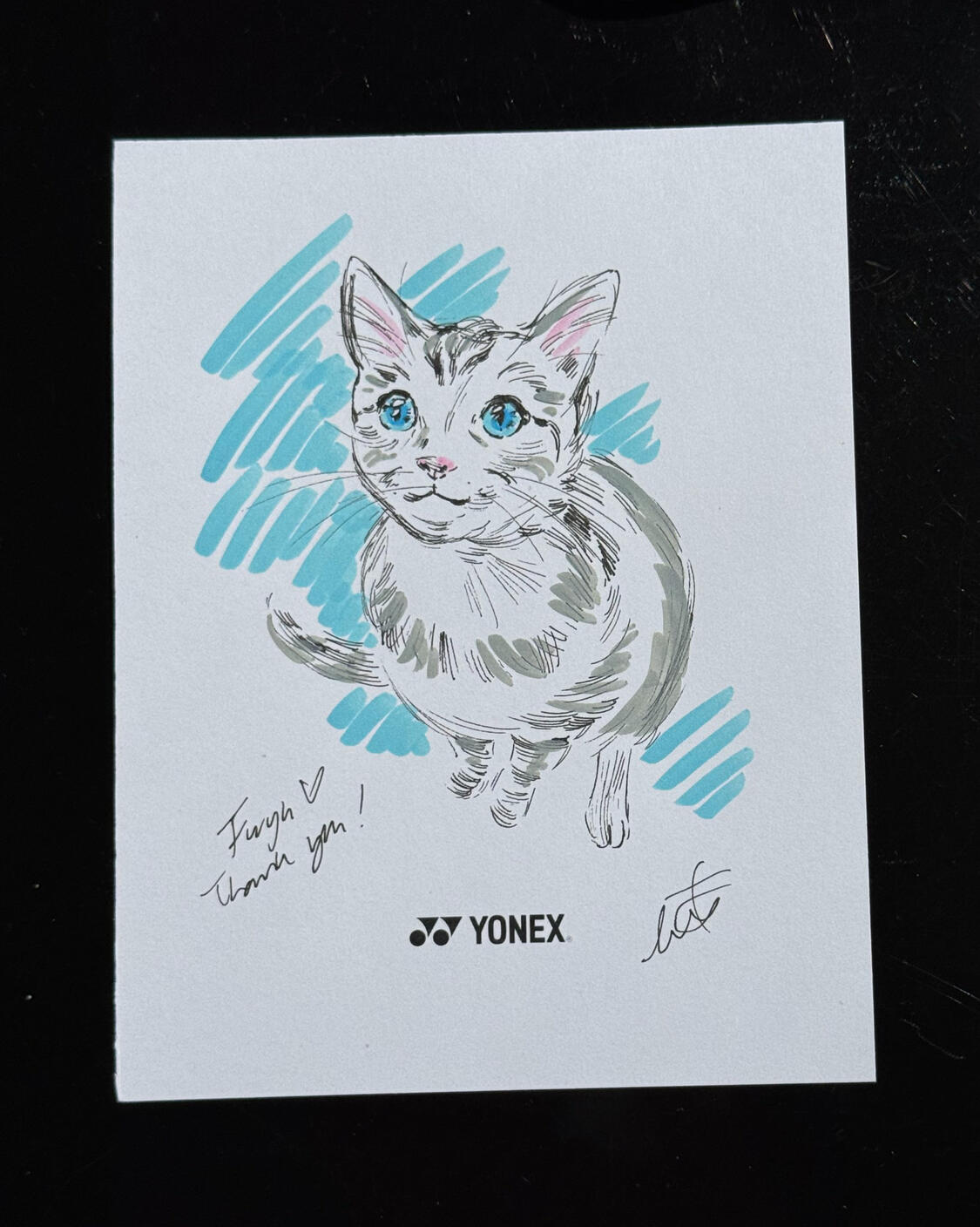 Pet Portrait Pet Portrait