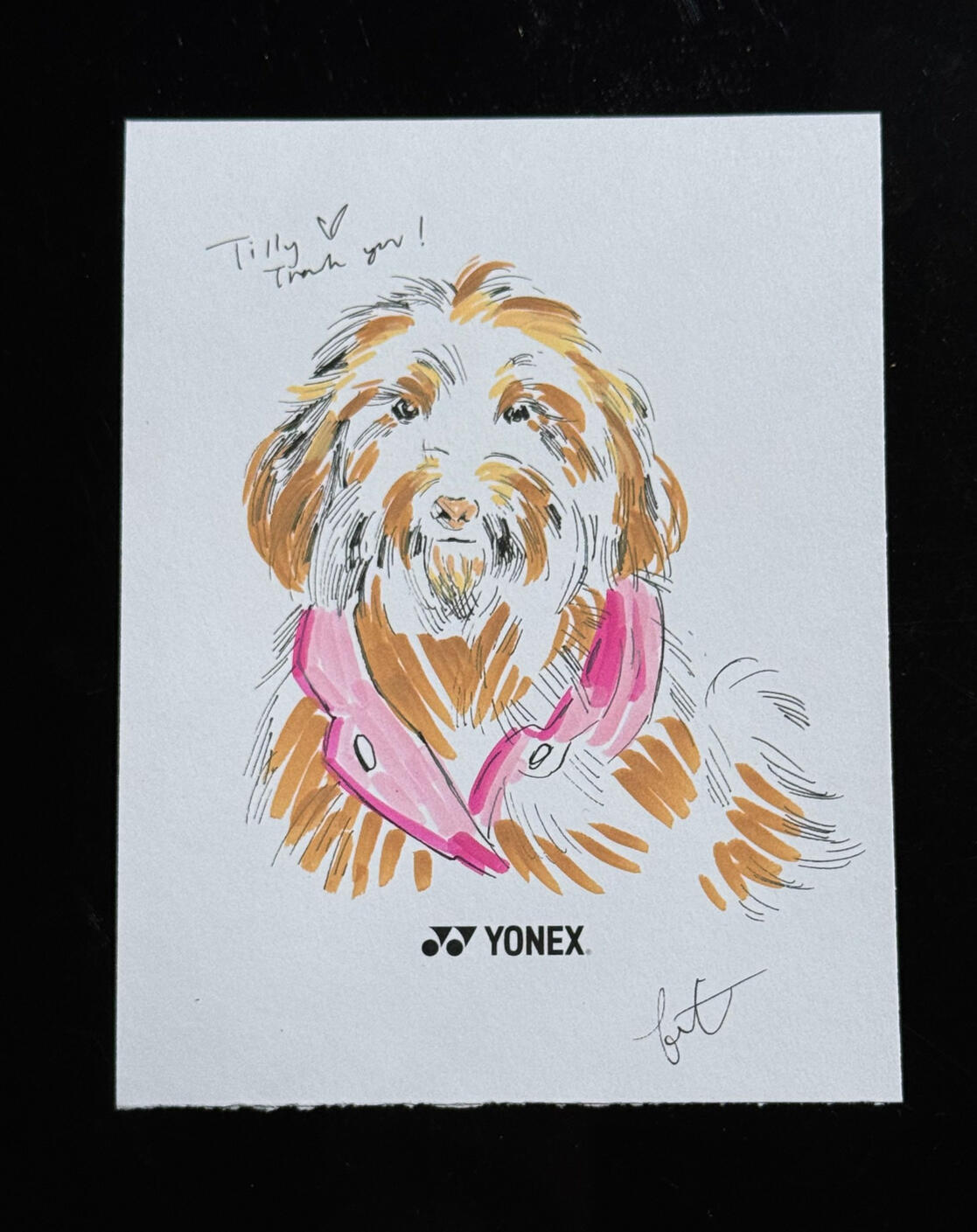 Pet Portrait Pet Portrait